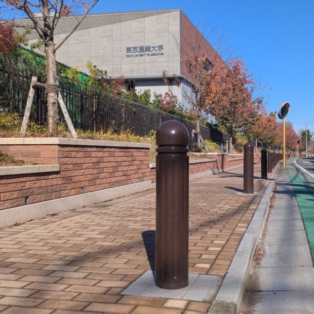 東京農業大学【new】